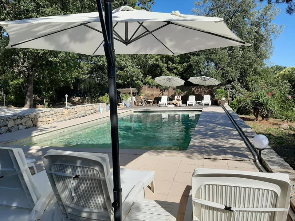 Mas Provencal Au Cannet Des Maures Le Cannet-des-Maures Eksteriør billede